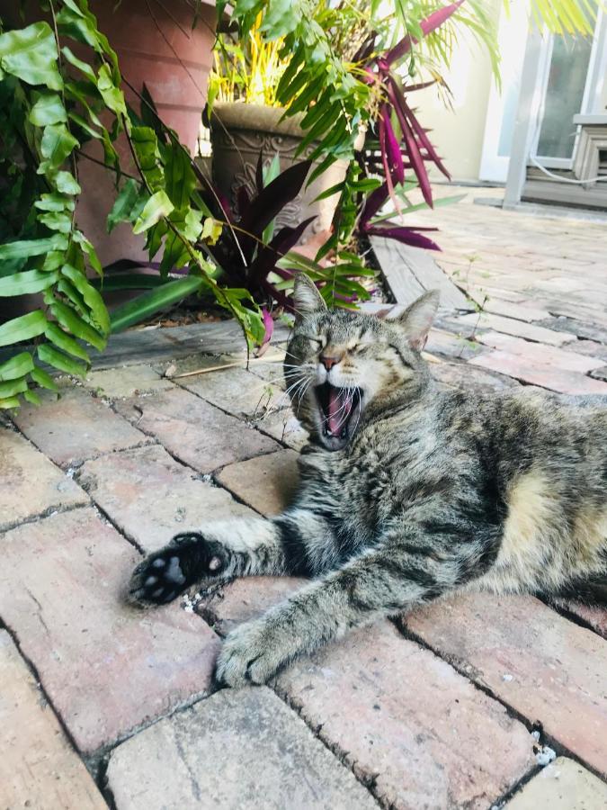 Authors Key West Guesthouse エクステリア 写真
